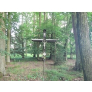 obrazek fotogalerie 8 z12