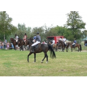 obrazek fotogalerie 8 z11