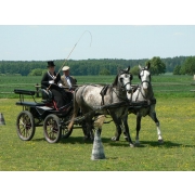 obrazek fotogalerie 8 z11