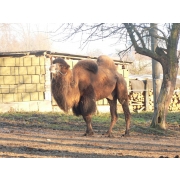obrazek fotogalerie 8 z11